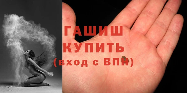 гидра Краснослободск