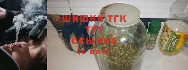 гидра Краснослободск