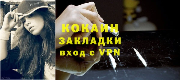 гидра Краснослободск