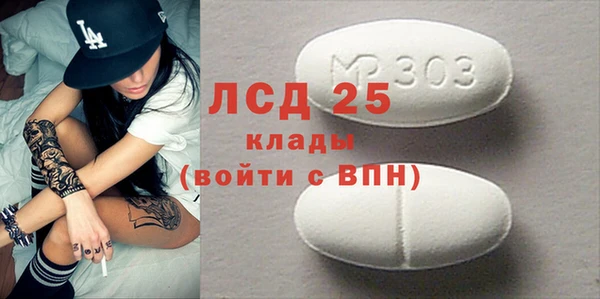 гидра Краснослободск