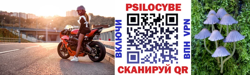 Галлюциногенные грибы ЛСД  Купить где  Кирсанов 
